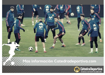 Especialista en Metodología